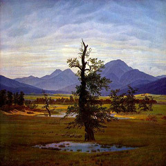 Home Page Image